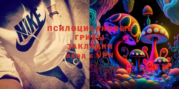 МДПВ Дмитровск