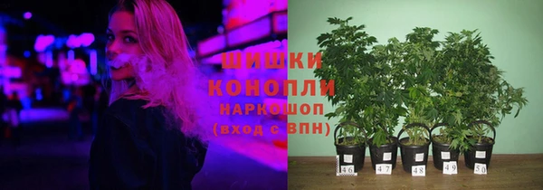 МДПВ Дмитровск