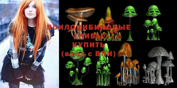 МДПВ Дмитровск