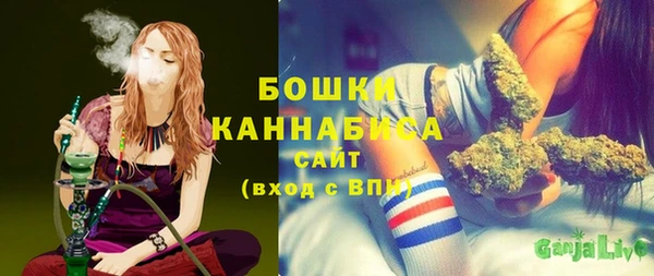 МДПВ Дмитровск